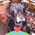 Profile Picture of Rusty Feathers Marion (@rustyfeathers225) on Facebook
