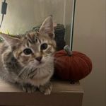 Bailey Oneill - Instagram Profile Picture of Bailey Oneill (@bailey.oneill.5623) on Instagram