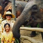 Profile Picture of Kaying Thao-Yang (@kayingthaoyang) on Instagram