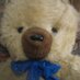 Profile Picture of Winnie-the-Pooh (@penguin_charl) on Twitter