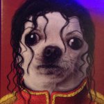 Profile Picture of gostareiland (@gostareiland) on Instagram