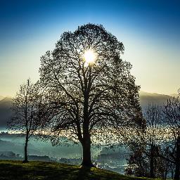 Profile Picture of David Erd (@DaveDigital1994) on Twitter