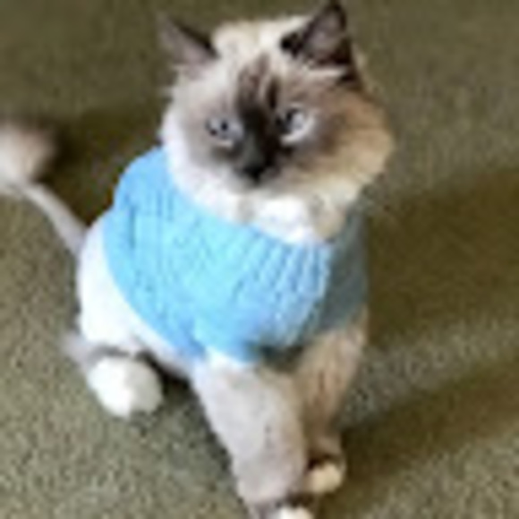 Profile Picture of Seana Nagatani (@seananagatani) on Poshmark