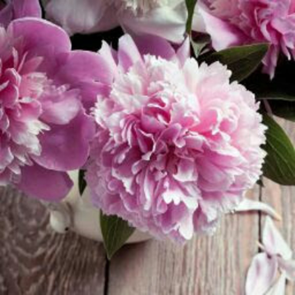 Profile Picture of Ahmed Minhaz (@ahmedminhaz101) on Poshmark