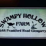 Profile Picture of Mark Heslin (@swampy_hollow_farm) on Instagram