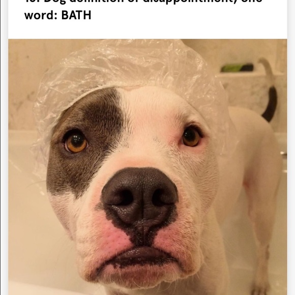 Profile Picture of Christine Heisse (@chrissy2634) on Poshmark