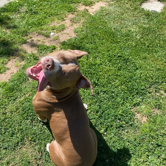 Profile Picture of Deja Laharty (@dejalaharty) on Poshmark