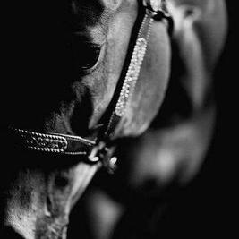 Profile Picture of Javier Macedo (@javiermacedo43) on Twitter