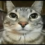 Dane Tracey - Facebook Profile Picture of Dane Tracey (@Dane-Tracey) on Facebook