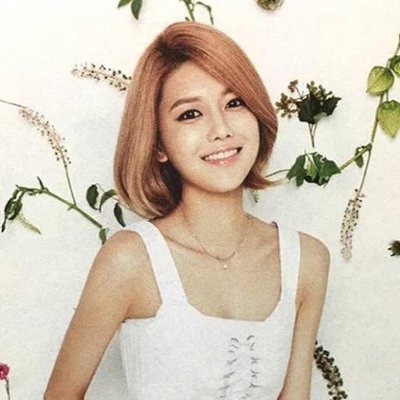 Profile Picture of Sooyoung Choi (@SY_hotsootuff) on Twitter