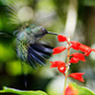 Profile Picture of HARRY R EDMONDS (@harryredmonds) on Twitter