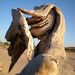 Profile Picture of Andrew Olvera (@andyroid1) on Pinterest