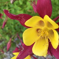 Profile Picture of Cynthia Azaret (@cynthia-azaret) on Quora