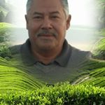 Profile Picture of Javier Higareda (@javier.higareda.52) on Instagram