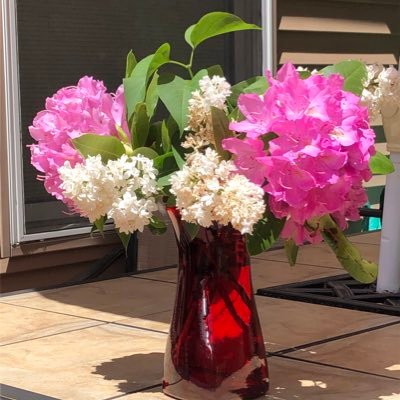 Profile Picture of Alexandra Skinner (@aer1943) on Twitter