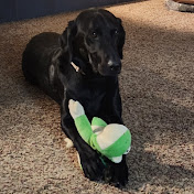 Profile Picture of Susan Carroll-Weaver (@susancarroll-weaver5980) on Youtube