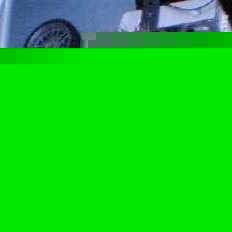 Nathan Cappleman - Myspace Profile Picture of Nathan Cappleman (@nathan_buzzin) on Myspace