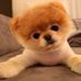 Profile Picture of Joseph Mackle (@joseph.mackle.313) on Facebook