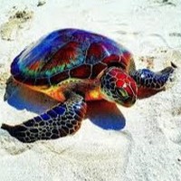 Profile Picture of Alexus Gonzales (@alexus-gonzales-9) on Quora