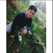 Profile Picture of Laura Evelia Robles Cabrera (@lauraeveliaroblescabrera5642) on Youtube