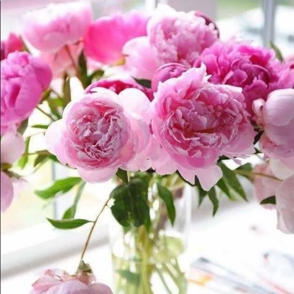 Profile Picture of Ileen Shlemon (@ileenshlemon69) on Poshmark