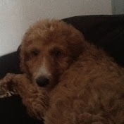 Profile Picture of Ian Burch (@ianburch8884) on Youtube