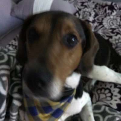 Profile Picture of Tom Martens (@TomMart49388898) on Twitter