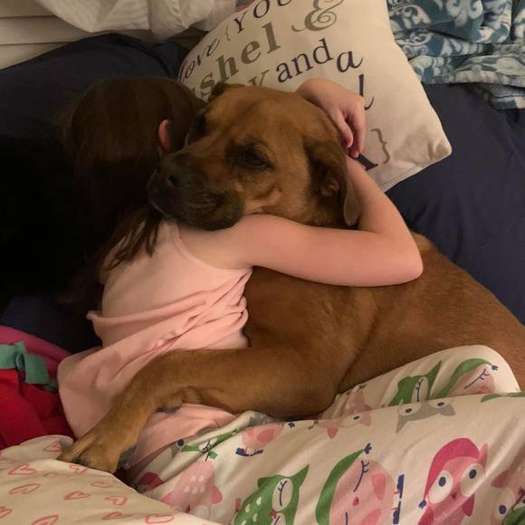 Profile Picture of Allison Mahon (@abridge75) on Poshmark