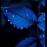 Profile Picture of Lotenzo Jose Mandry (@lore_1836_russian) on Instagram