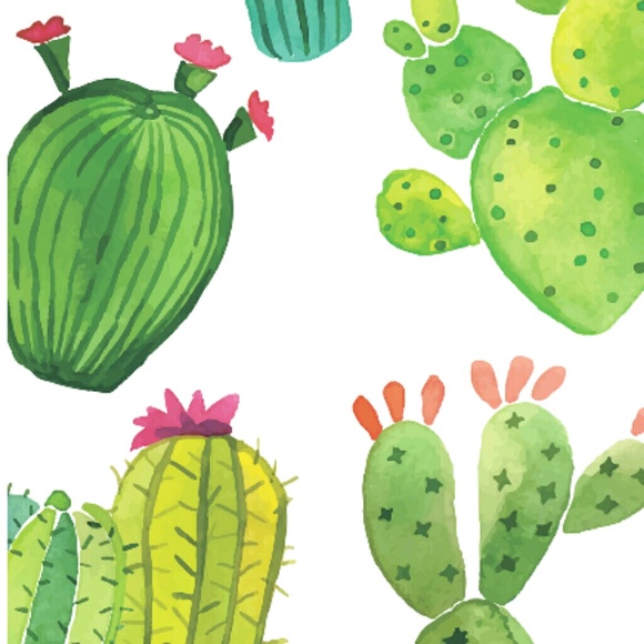 Profile Picture of Brianna Roca (@brianna_1243) on Poshmark