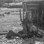 Profile Picture of Jaimi Nicholas (@Western Waters) on Flickr