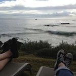 Profile Picture of Adrian Kearns (@kearns.adrian) on Instagram