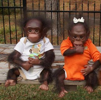 Profile Picture of Adam Krupička (@Adam-Krupi&) on Facebook