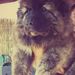 Profile Picture of Matthew Bahrk (@matthewbahrk) on Pinterest