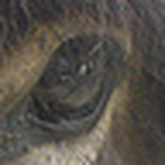 Profile Picture of Mike Green (@mjrg) on Flickr