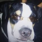 Profile Picture of Tyler Vanderpool (@tyler_vanderpool1) on Instagram