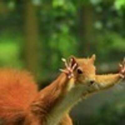 Profile Picture of Madeleine Walters (@jade_madeleine) on Twitter