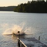 Profile Picture of Owen Dowling (@dowling.owen) on Instagram