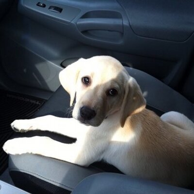 Profile Picture of Danny Hampel (@dhamp507) on Twitter