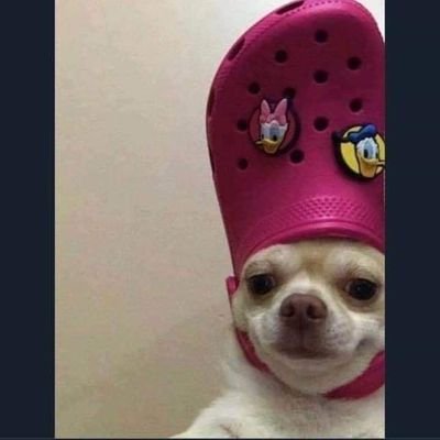 Profile Picture of Matthew Pintor (@matthewpintor) on Twitter