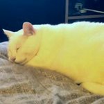 Profile Picture of Catherine Anderson (@cathliddle) on Instagram