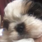 Profile Picture of David Derting (@david_derting) on Instagram