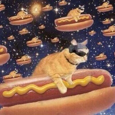 Profile Picture of John Scala (@jvs597_john) on Twitter