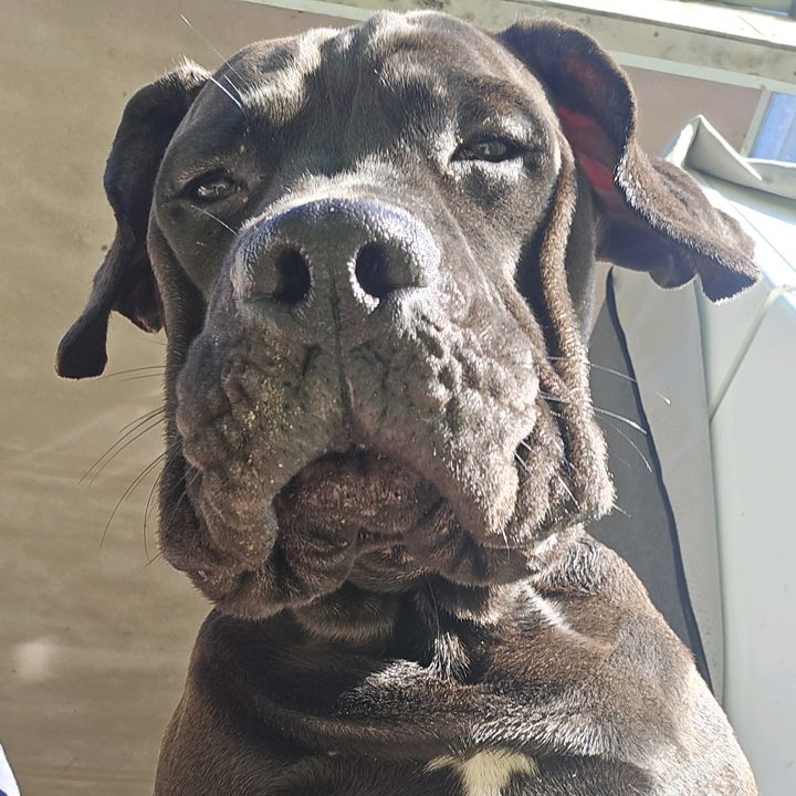 Profile Picture of keithlafaber2 (@keithlafaber2) on Tiktok