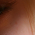 Profile Picture of Lisa Kehoe (@lisa**) on Flickr