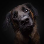 Profile Picture of Albert Zimmermann (@albert.zimmermann.7) on Instagram