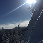 Profile Picture of Brian Millington (@millington.brian) on Instagram