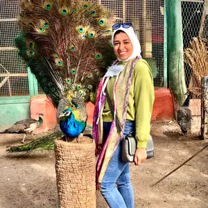 Profile Picture of Mai Maneam (@maimaneam) on Tiktok