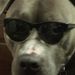 Profile Picture of Lexie Lautenschleger (@l_lautenschleger) on Pinterest