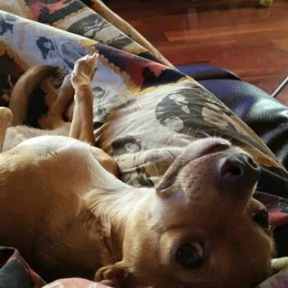 Christina Chadsey - Poshmark Profile Picture of Christina Chadsey (@cchadsey) on Poshmark